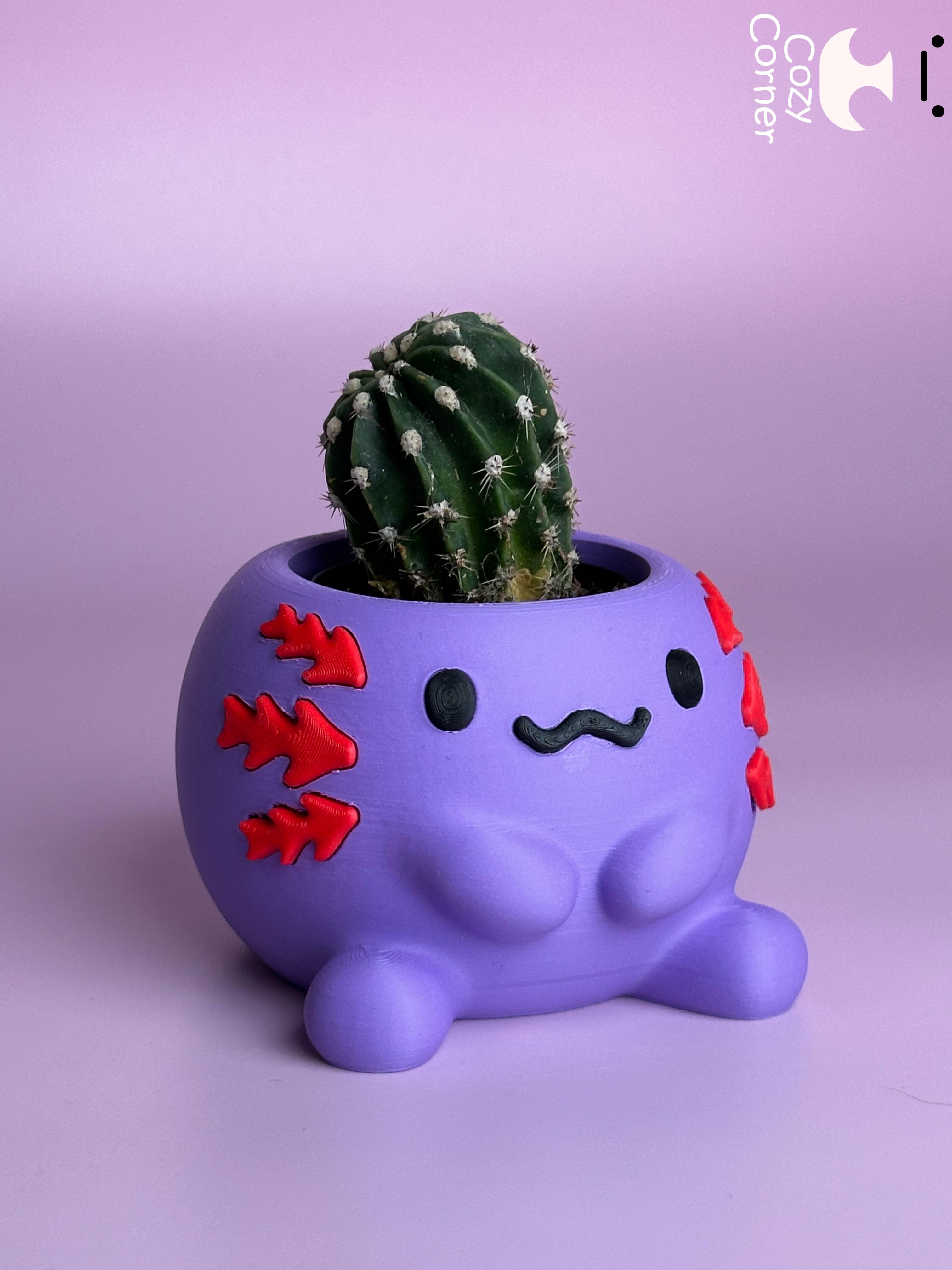 Axolotl planter 3d model