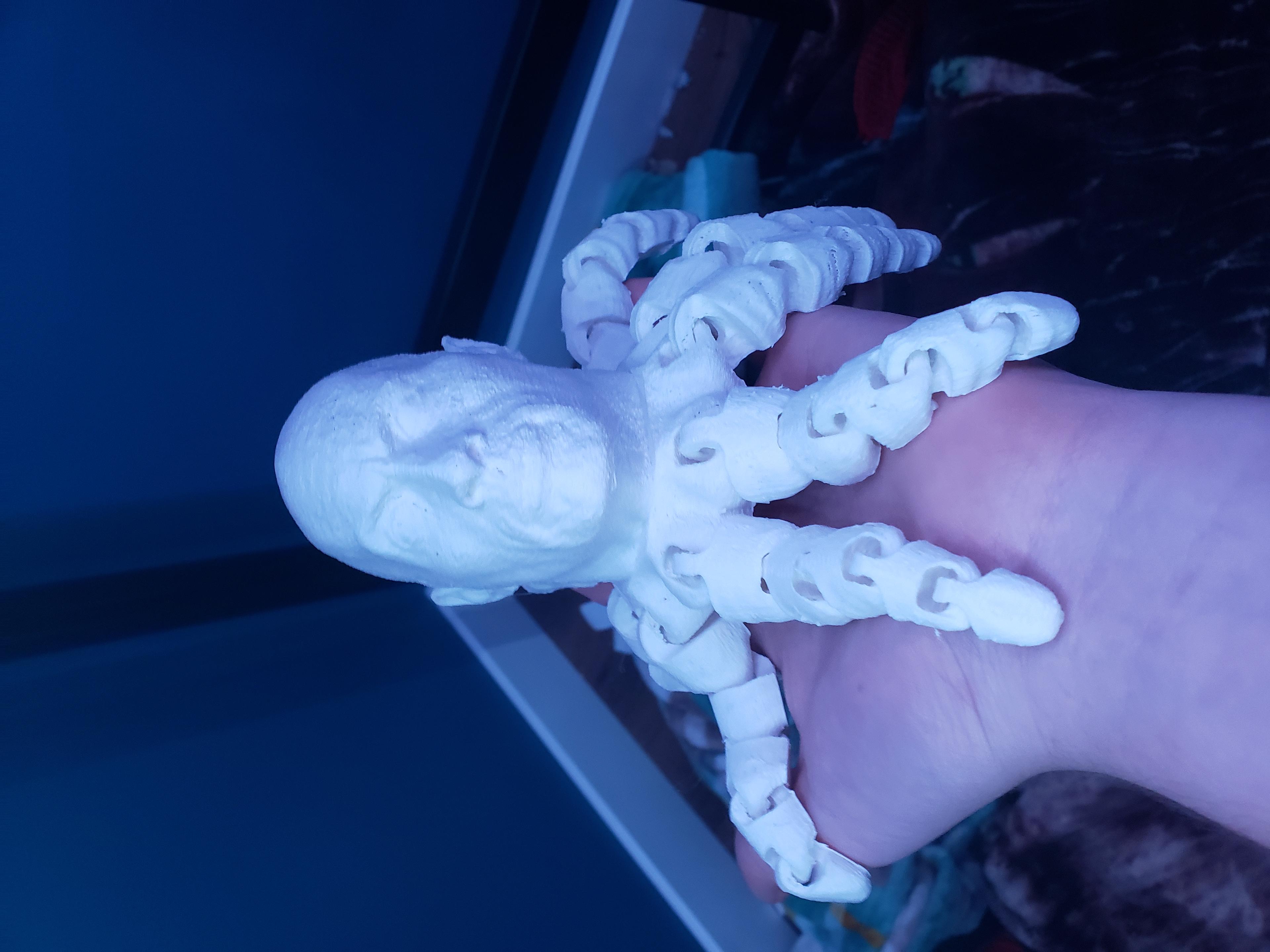 ROCKTOPUS - very large - 3d model