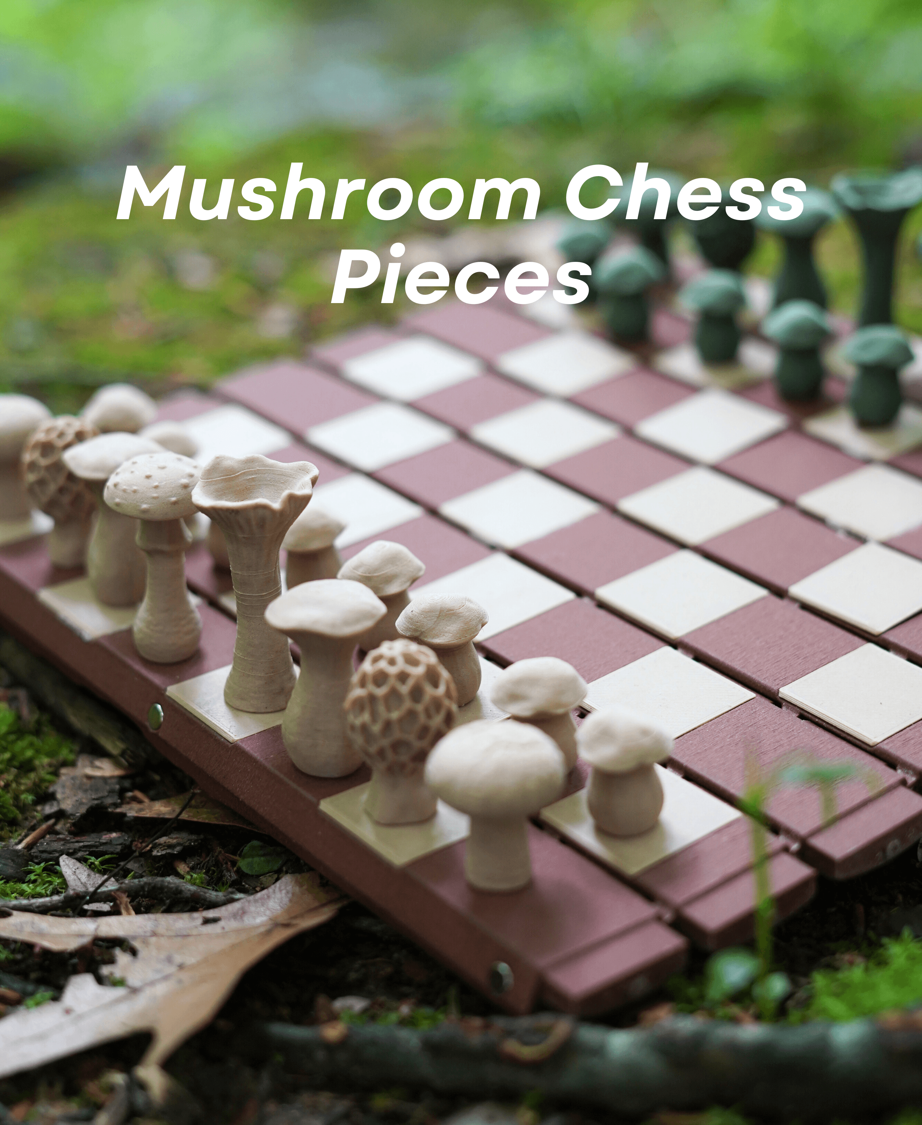 Forest Chess Set - Log and Mushroom Chess Board - Acorn Checkers 3d model