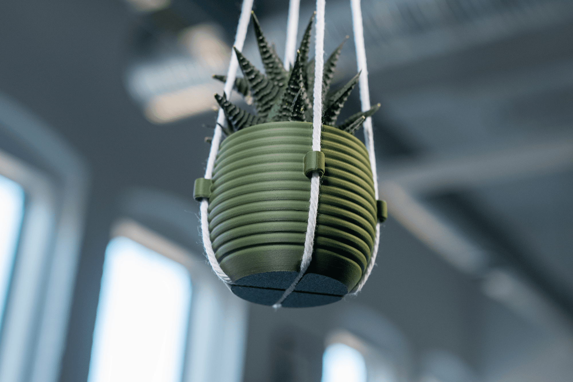 Hanging Planter - The Hive 3d model