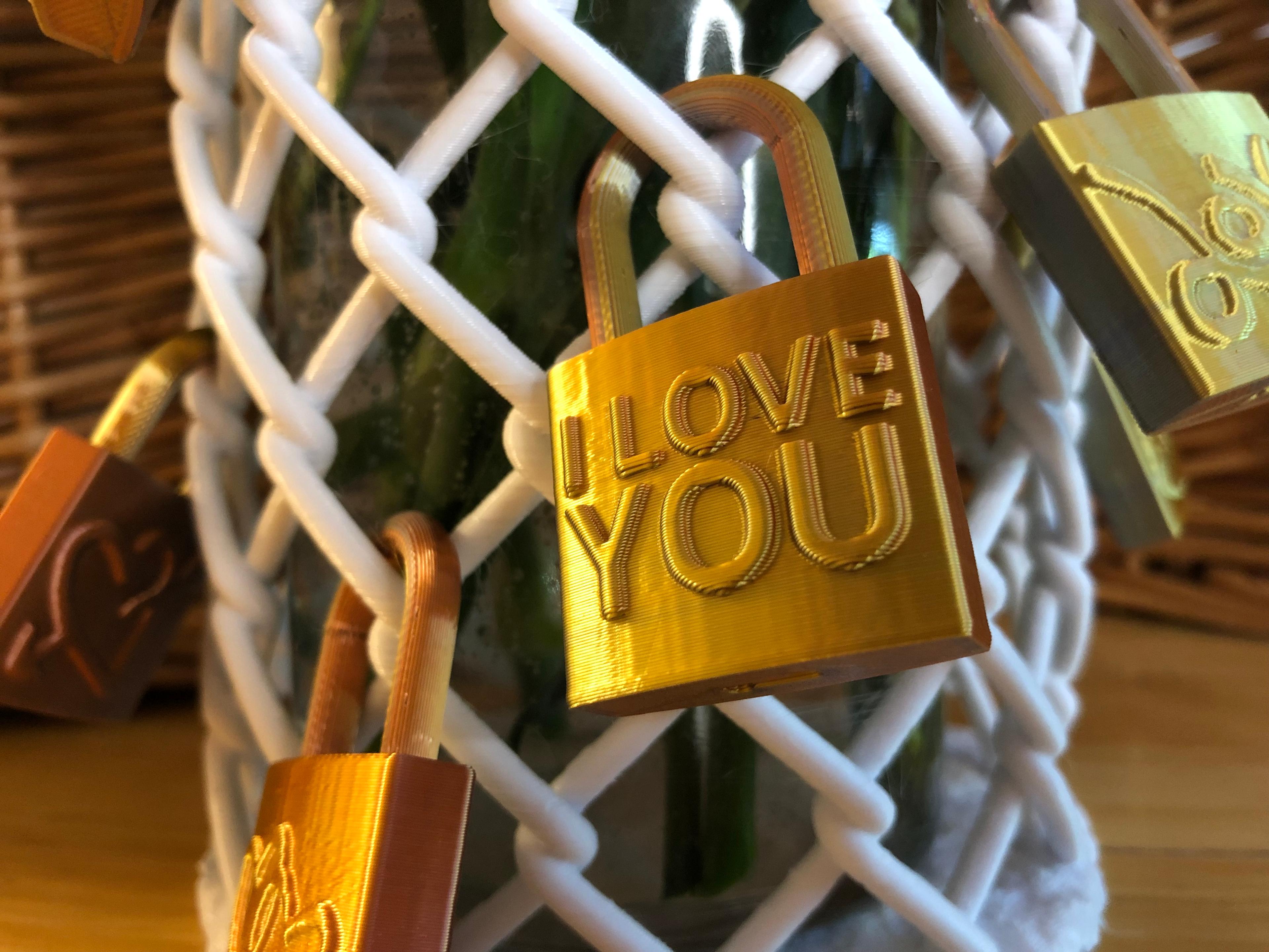 A Dozen Love Locks 3d model