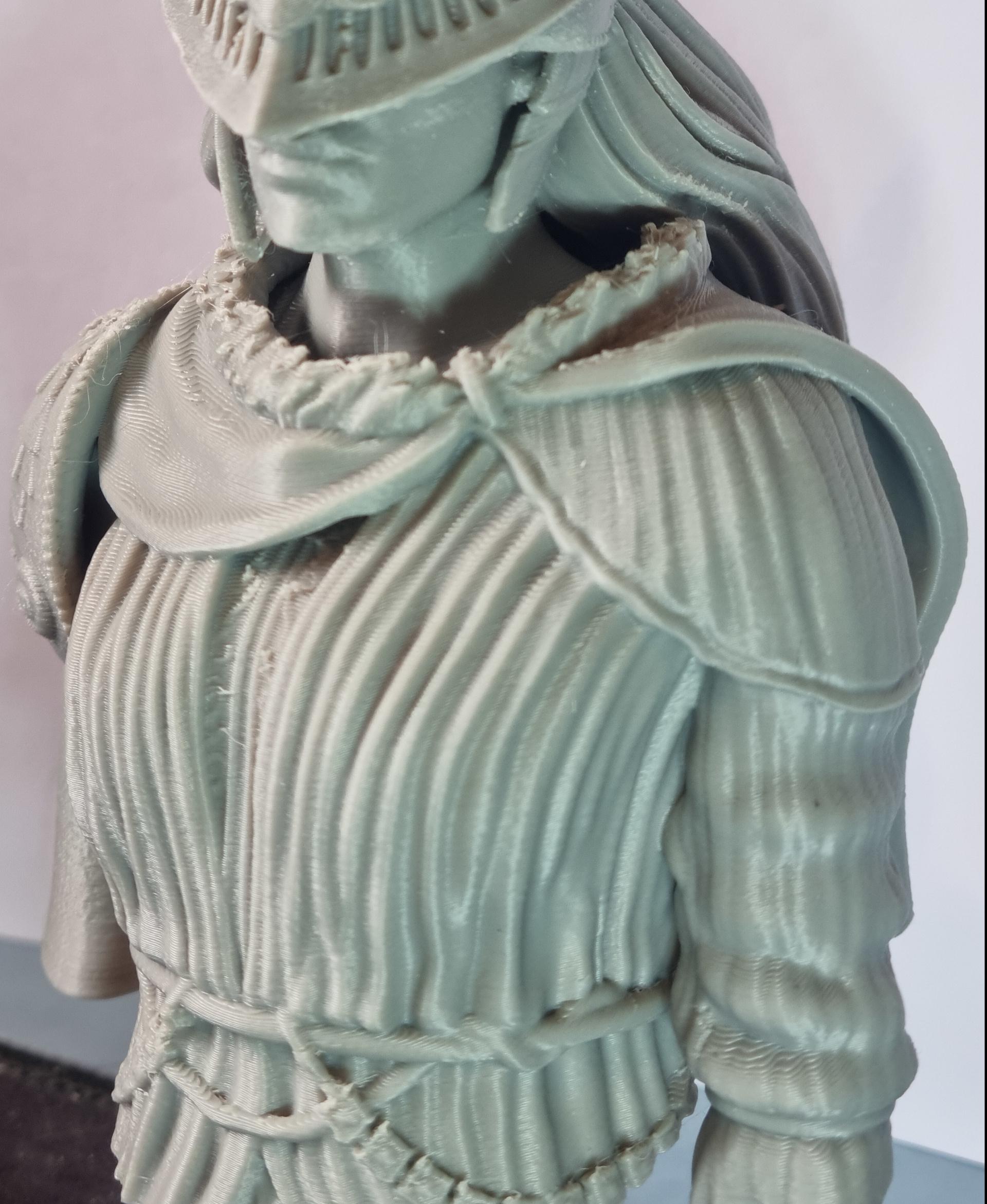 Malenia Bust - (Pre-Supported) - MK3S+ Elegoo Gray PLA - 0.6mm nozzle with snug supports - 12.5hr print - 3d model