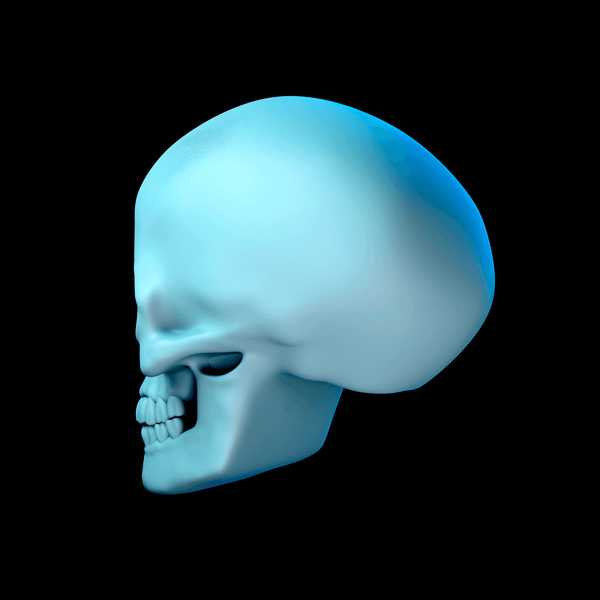 Basic Skull 3d model