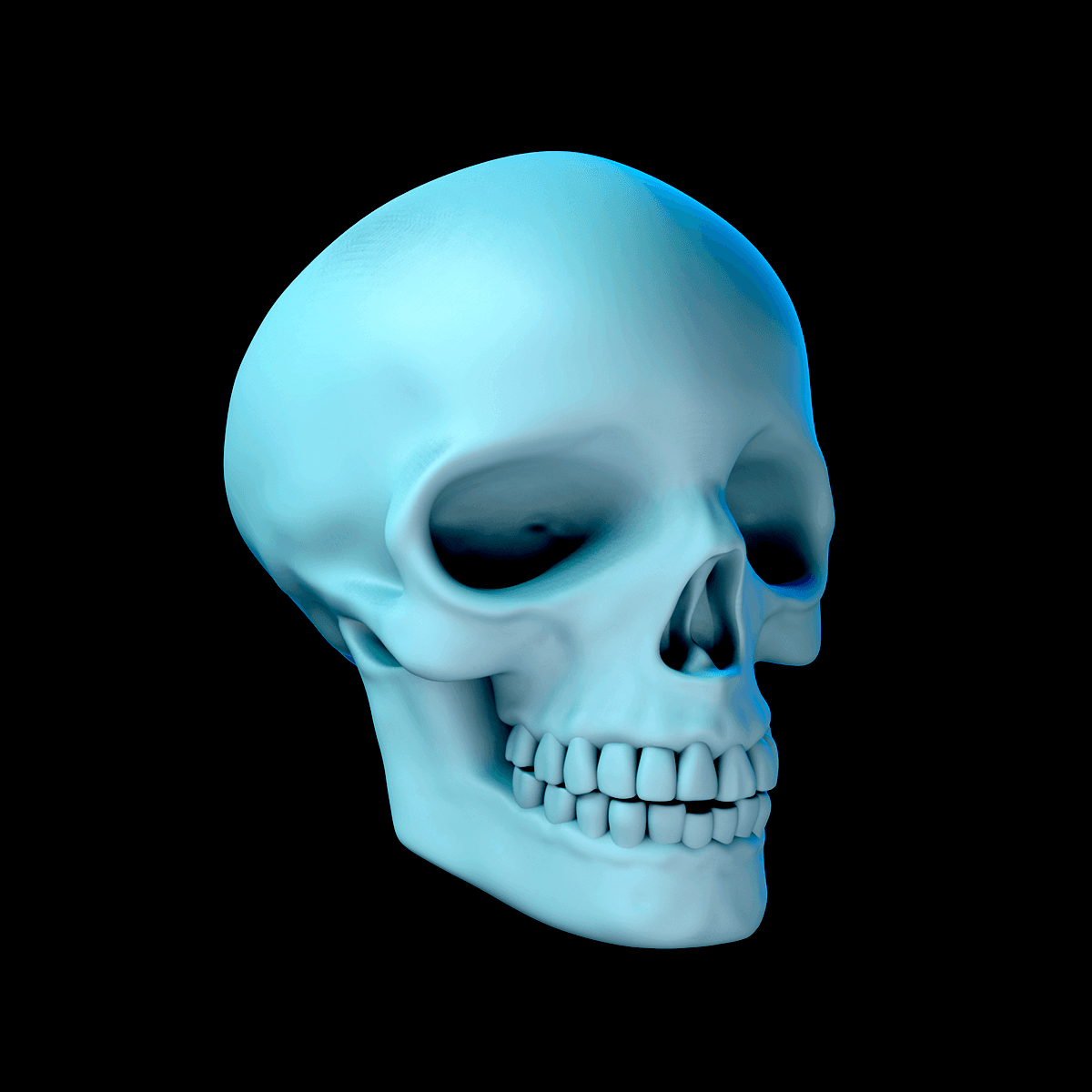 Basic Skull 3d model