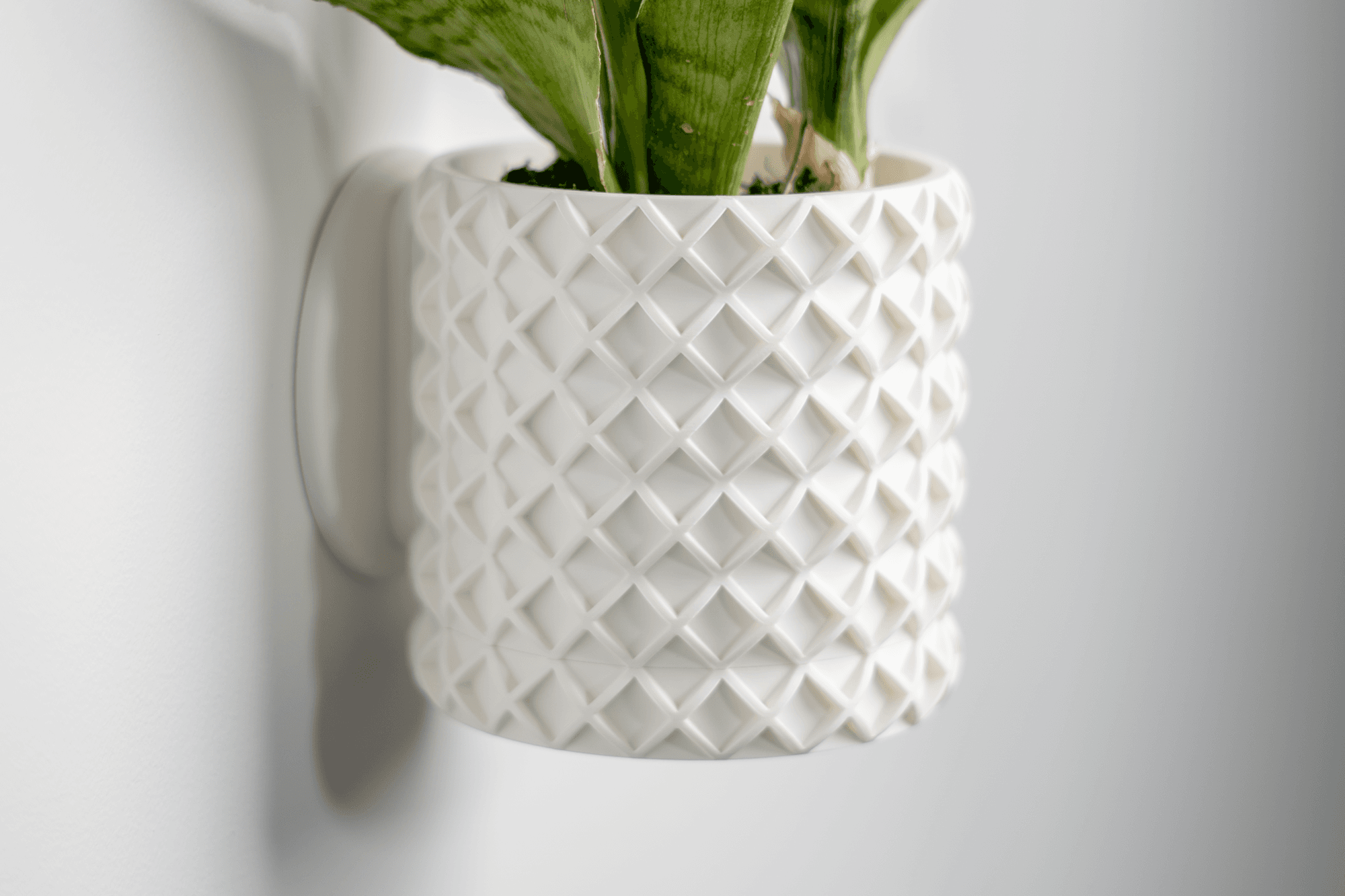 Bubble Lattice Planter 3d model