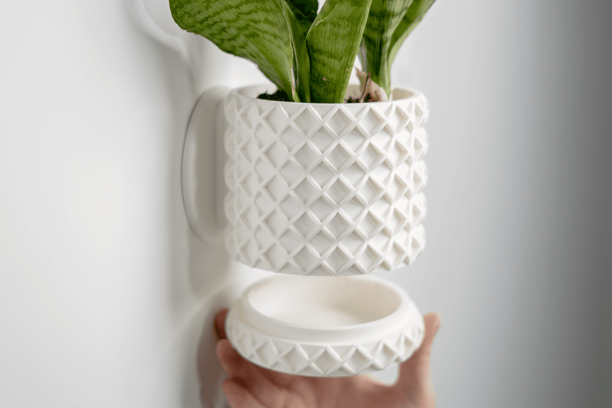 Bubble Lattice Planter 3d model