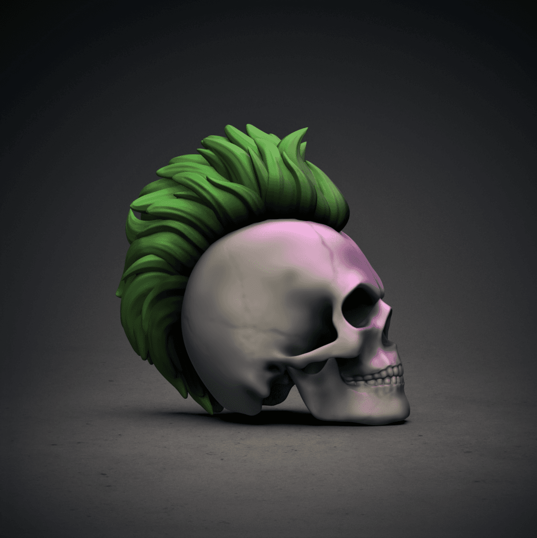 Long Mohawk -Punk Skull 3d model