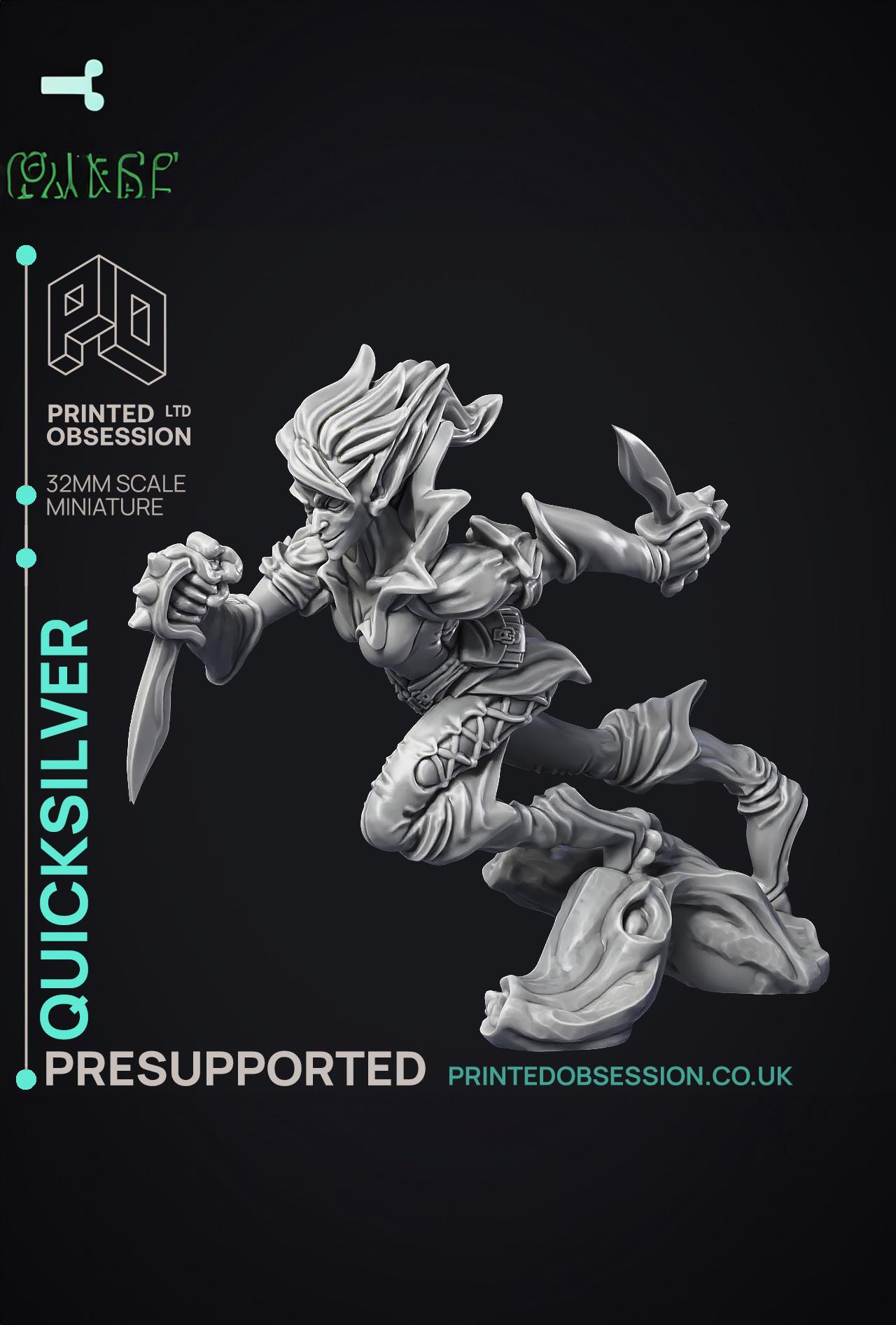 Quicksliver - Fey Fighter - PRESUPPORTED - 32mm Scale  3d model