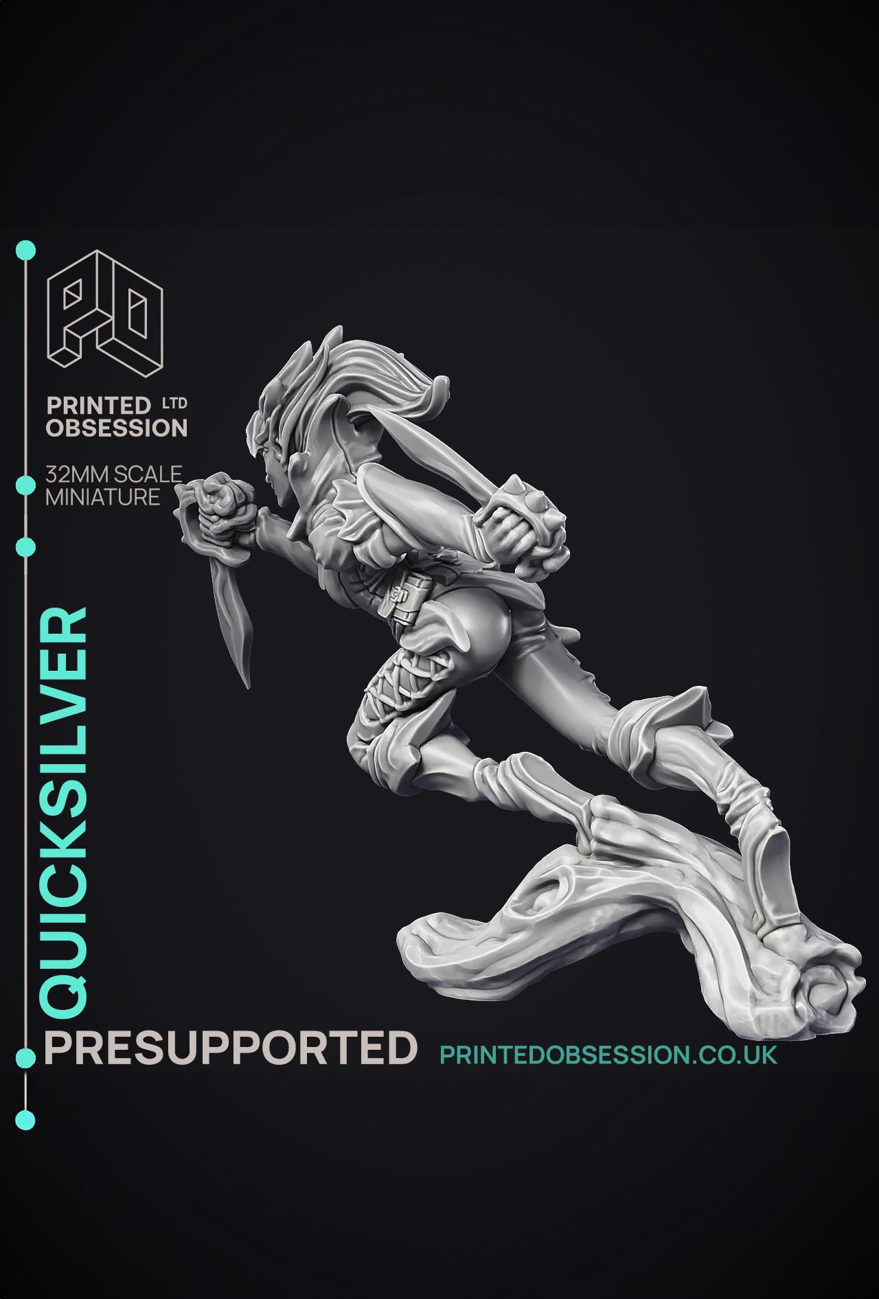 Quicksliver - Fey Fighter - PRESUPPORTED - 32mm Scale  3d model