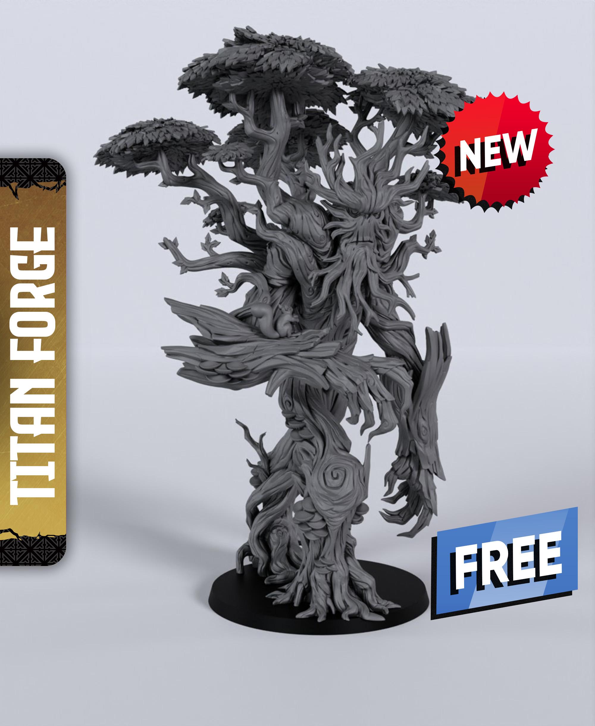 Treefather - With Free Dragon Warhammer - 5e DnD Inspired for RPG and Wargamers 3d model