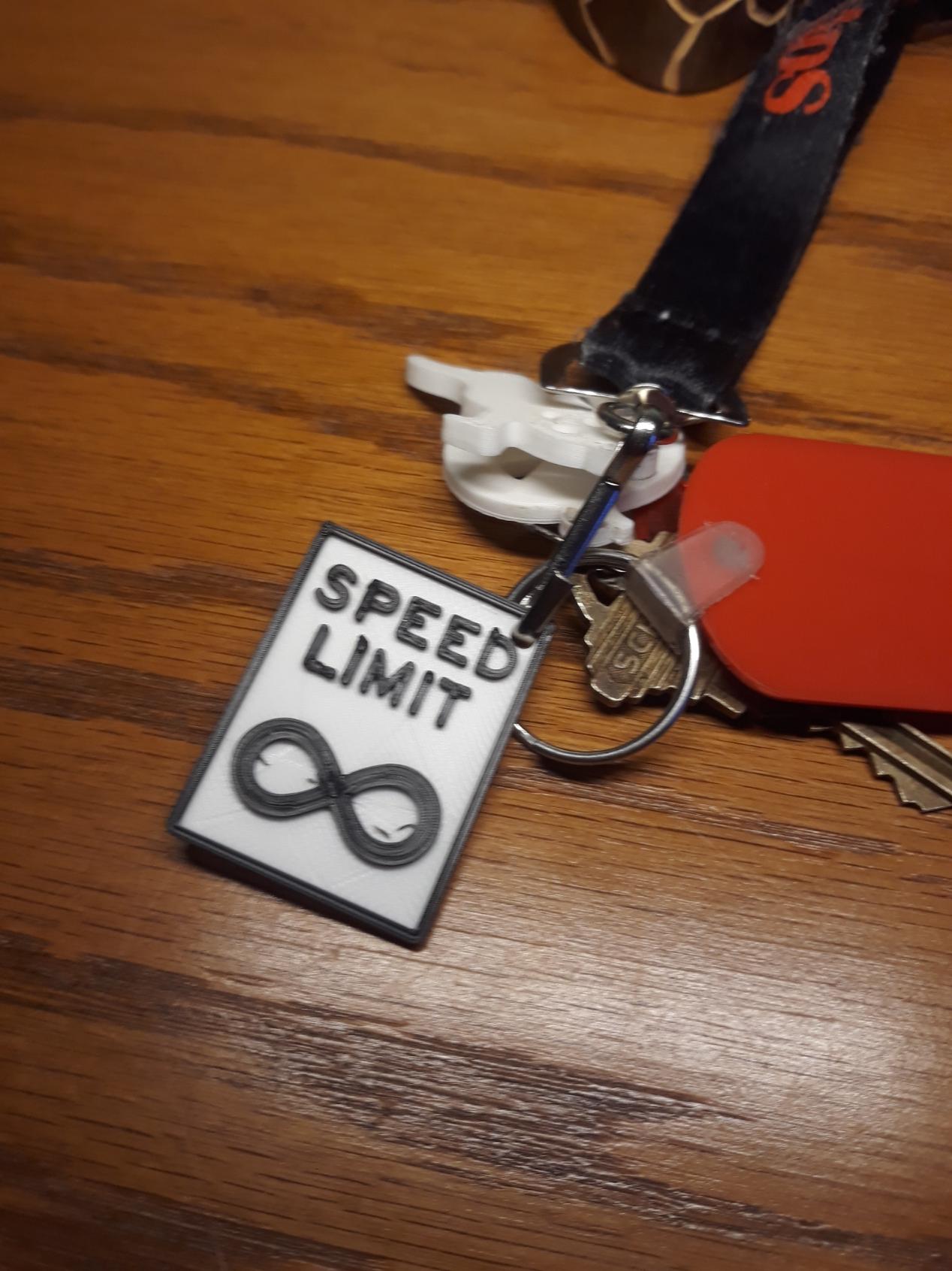 Speed limit infinity keychain  3d model