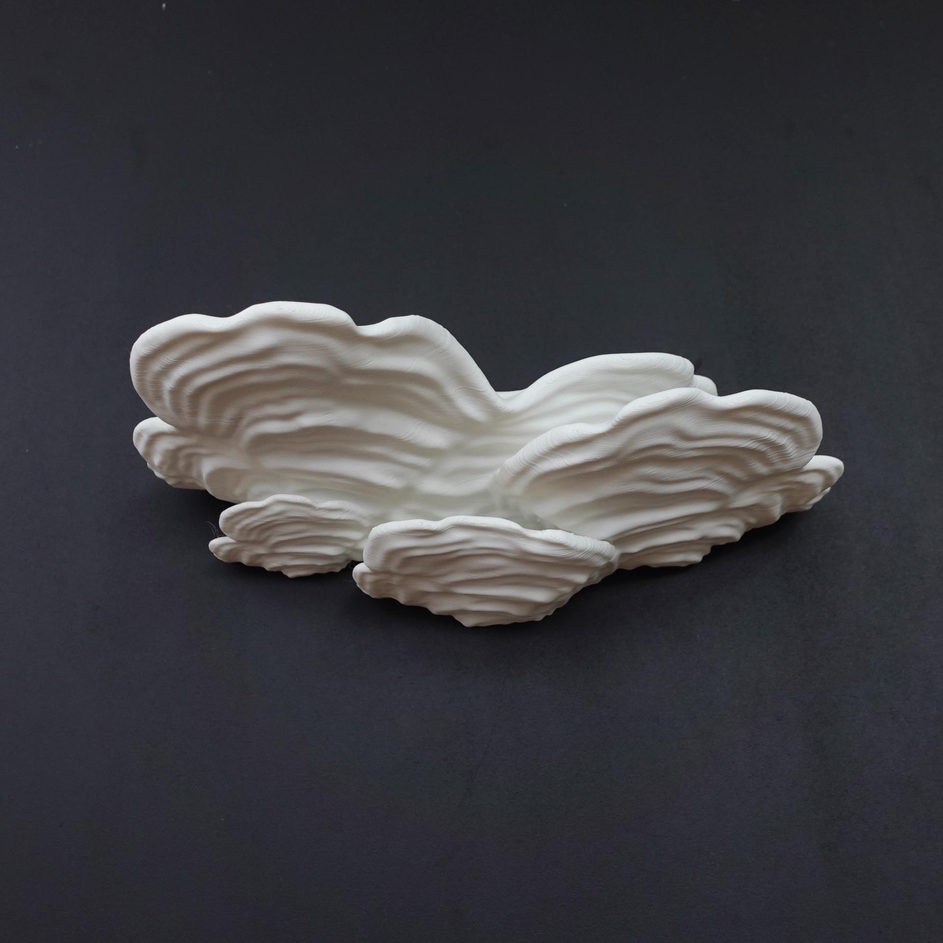 Mushroom shelf “ Stereum Ostrea” 3d model