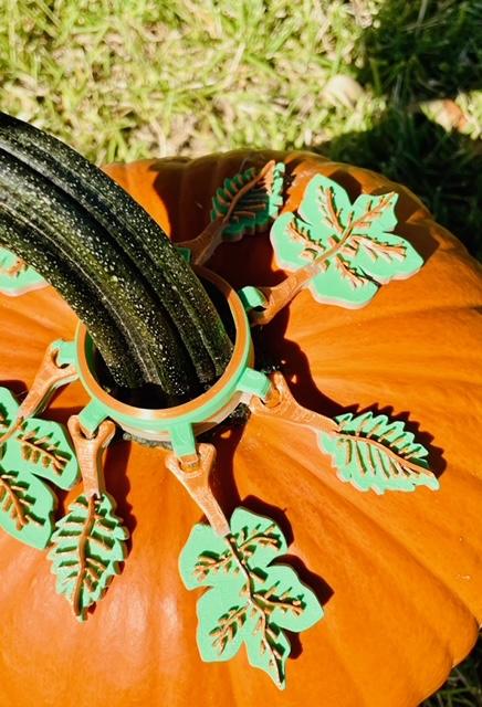 Pumpkin Jewelry 3d model