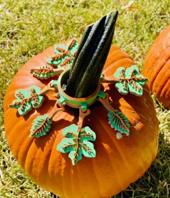 Pumpkin Jewelry 3d model