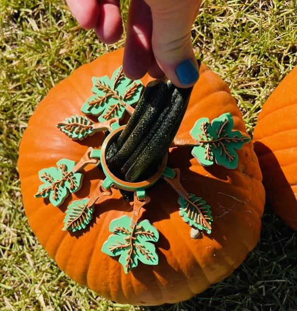 Pumpkin Jewelry 3d model