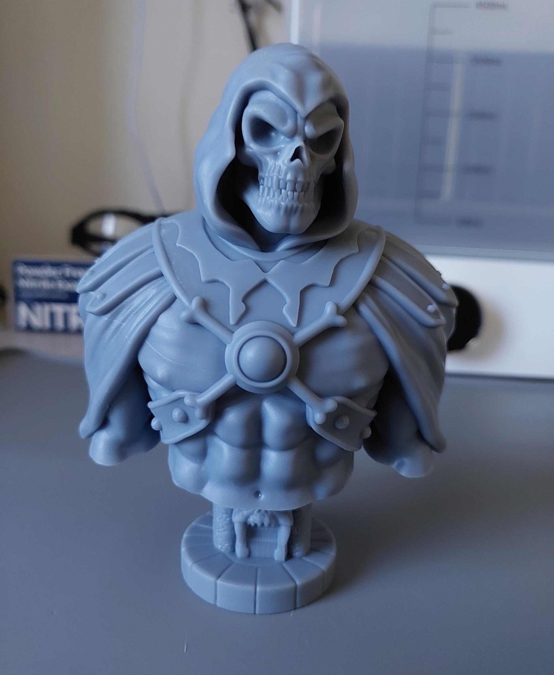 Skeletor Bust (Pre-Supported) 3d model