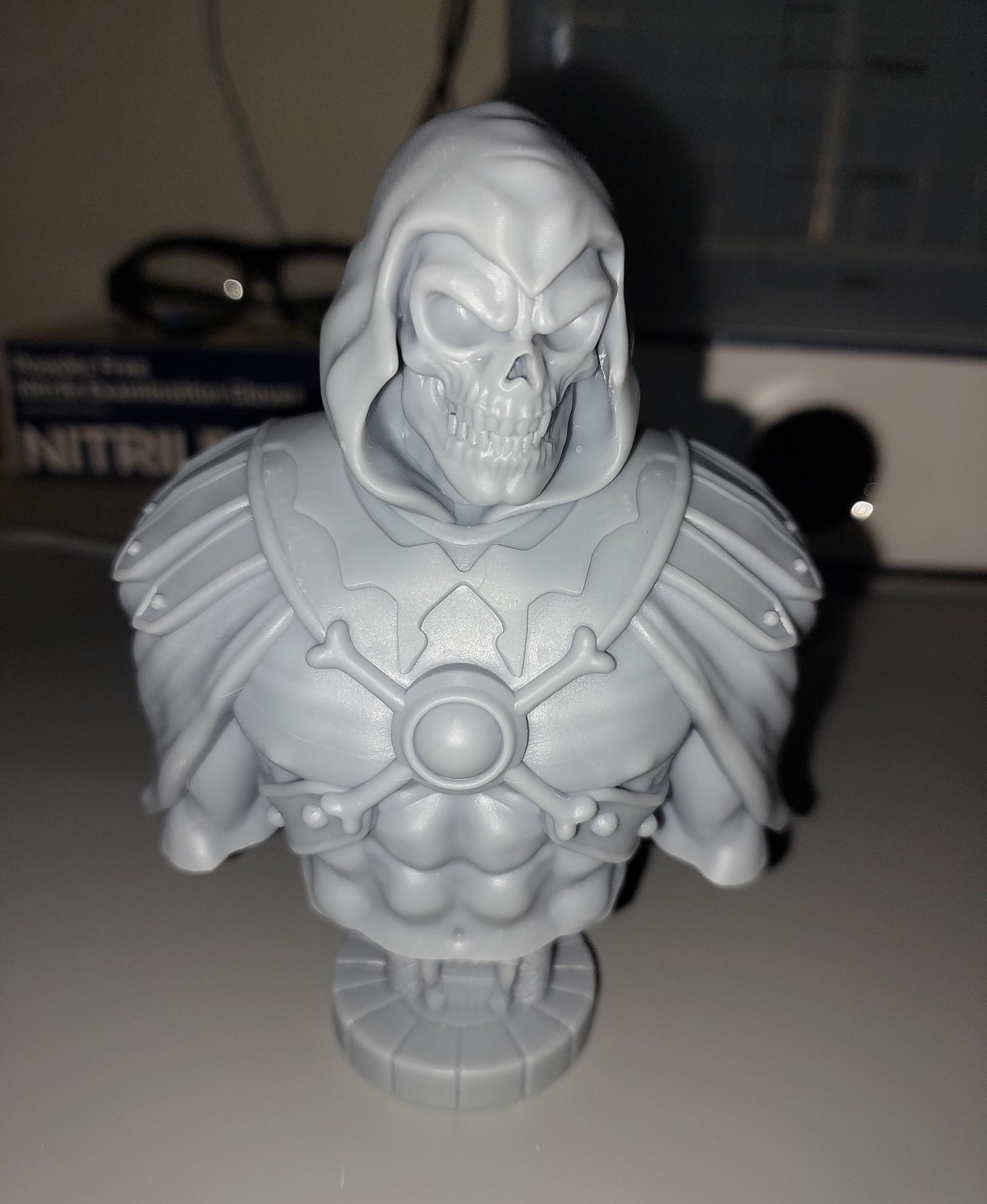 Skeletor Bust (Pre 3d model