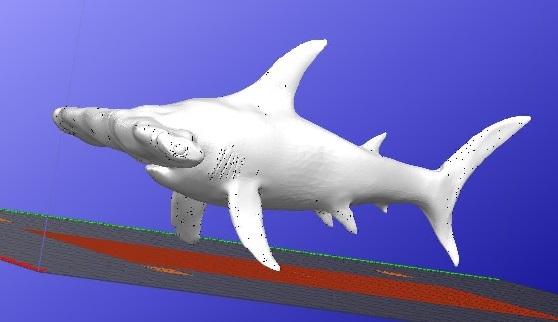 Hammerhead Shark 3d model