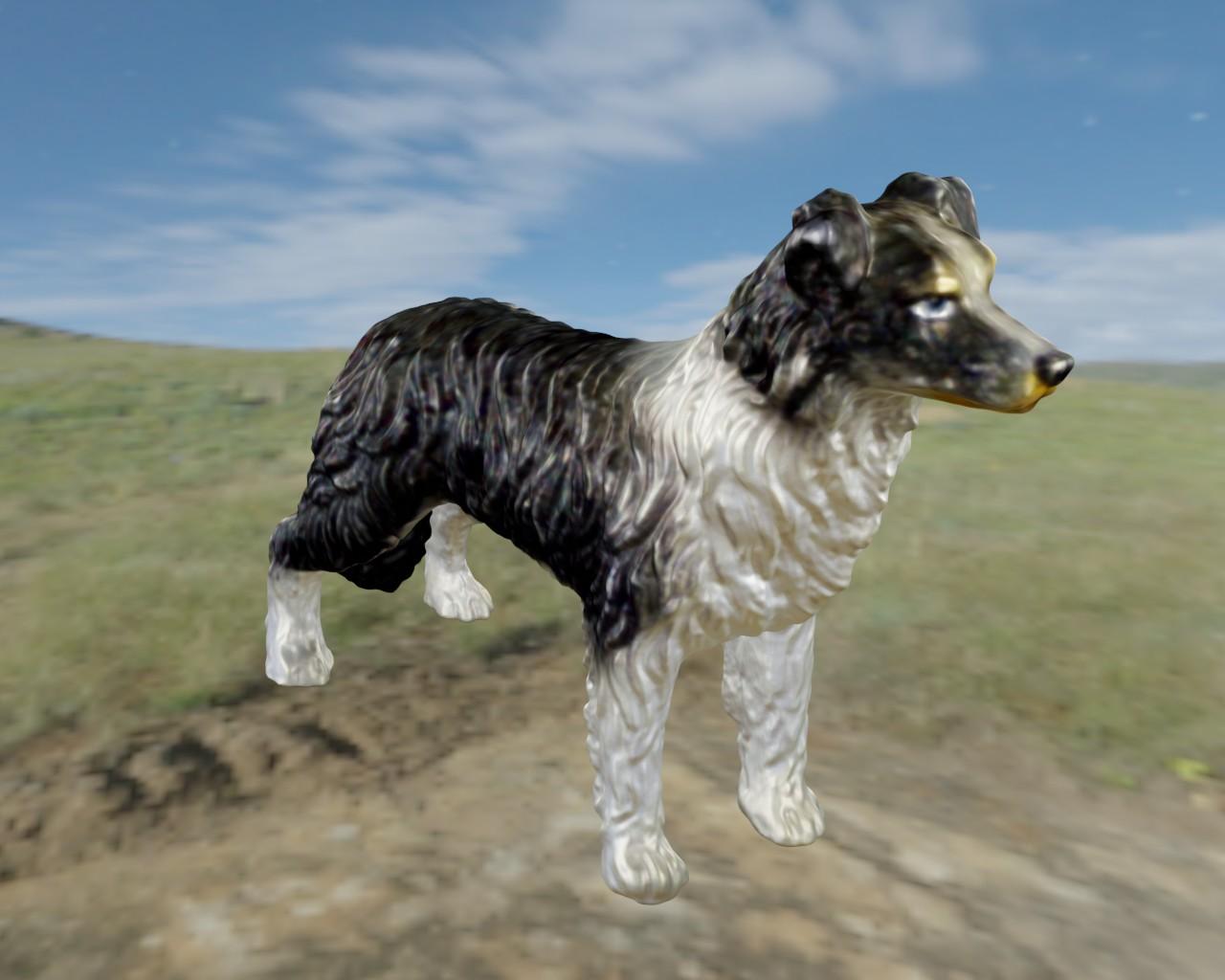 Border Collie 3d model