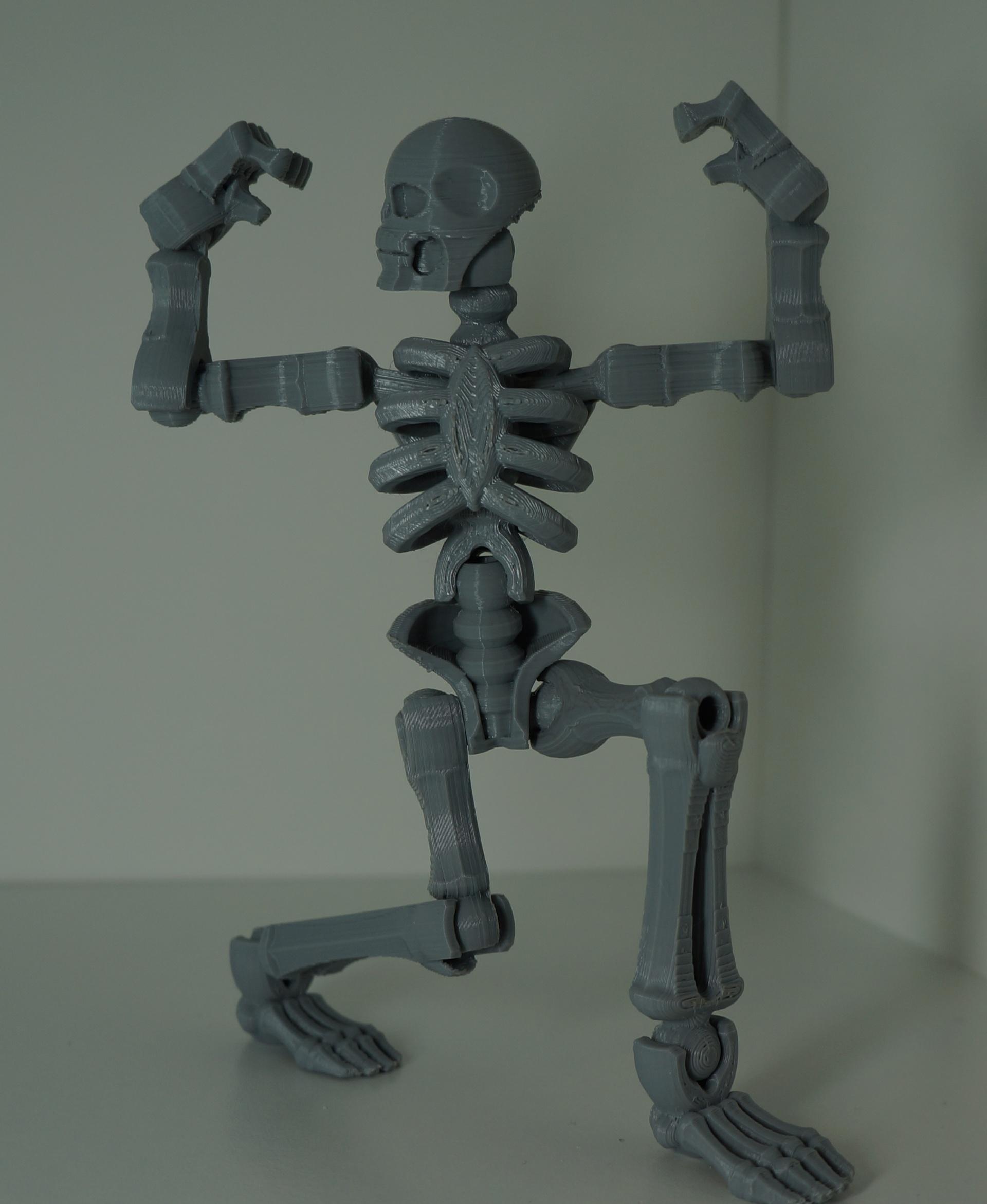 Toy skeleton 3d model