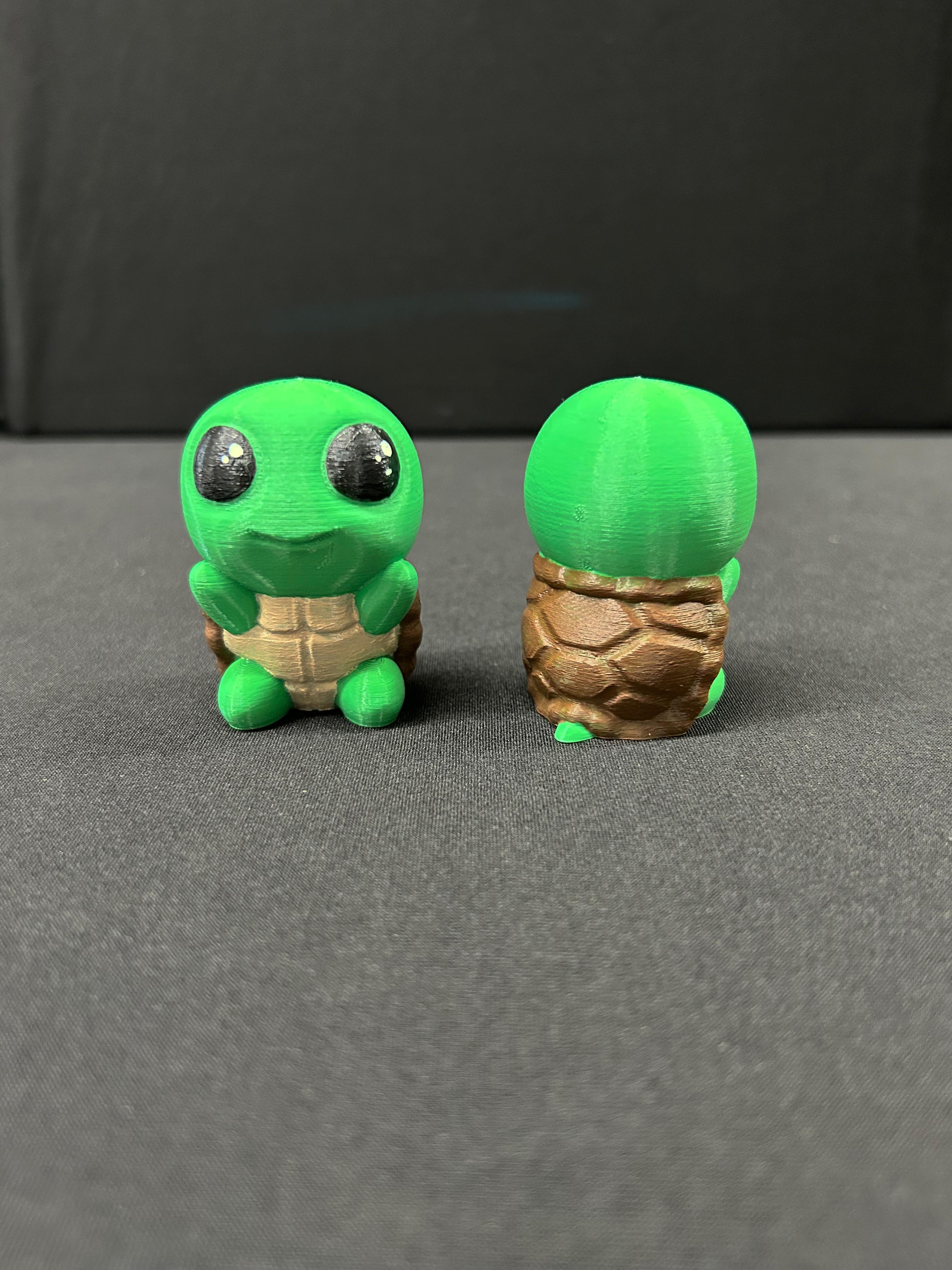 Turtle 3d model