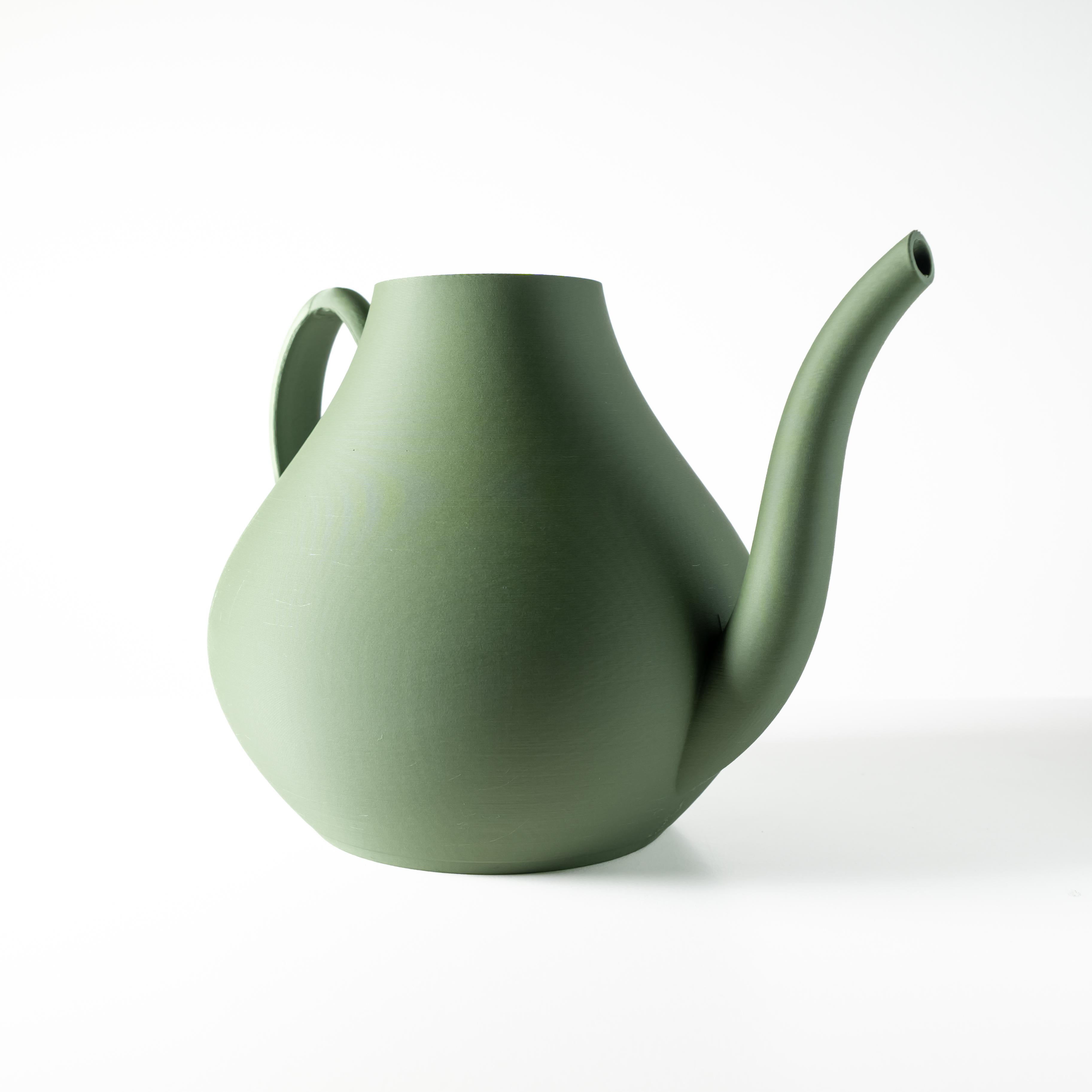 The Nari Watering Can for Houseplants, Flowers, and Succulents | Unique Home Decor for Plants 3d model