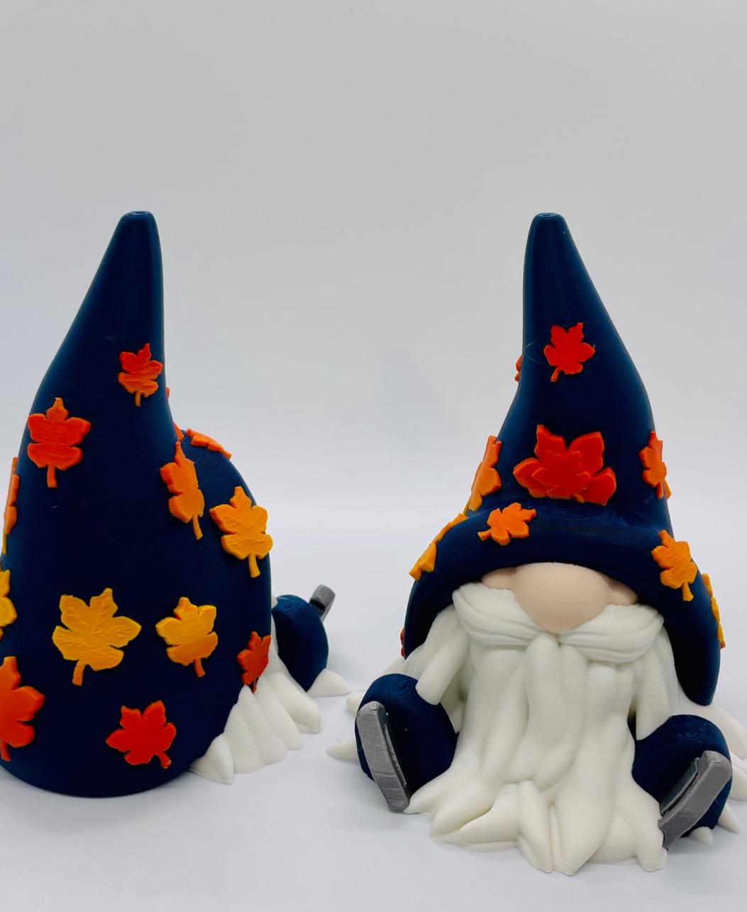 Fall lce Skate Gnome 3d model