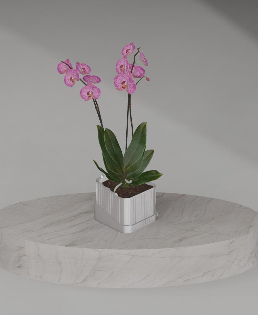 This planter includes a bowl-shaped drip tray to ensure your plants have adequate drainage. 3d model
