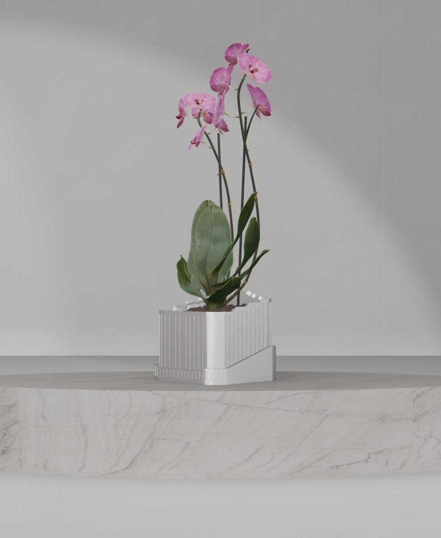 This planter includes a bowl-shaped drip tray to ensure your plants have adequate drainage. 3d model