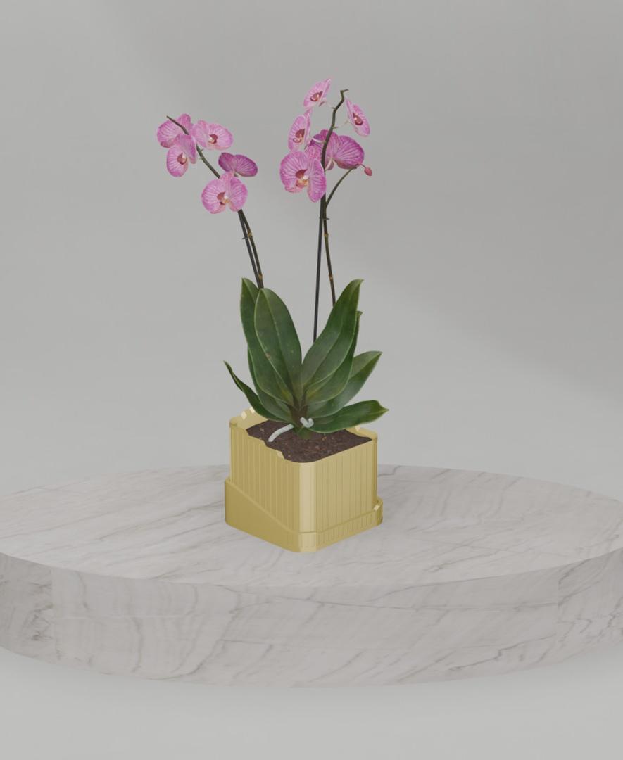 This planter includes a bowl-shaped drip tray to ensure your plants have adequate drainage. 3d model