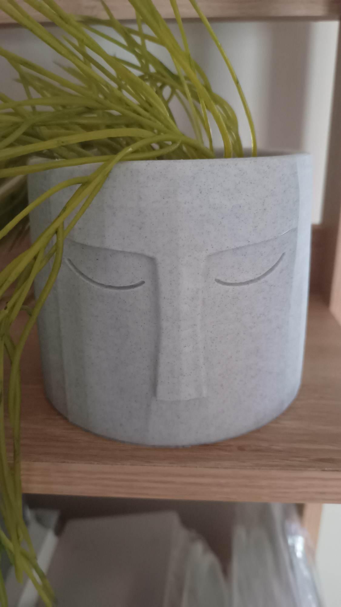 Face Pot 3d model