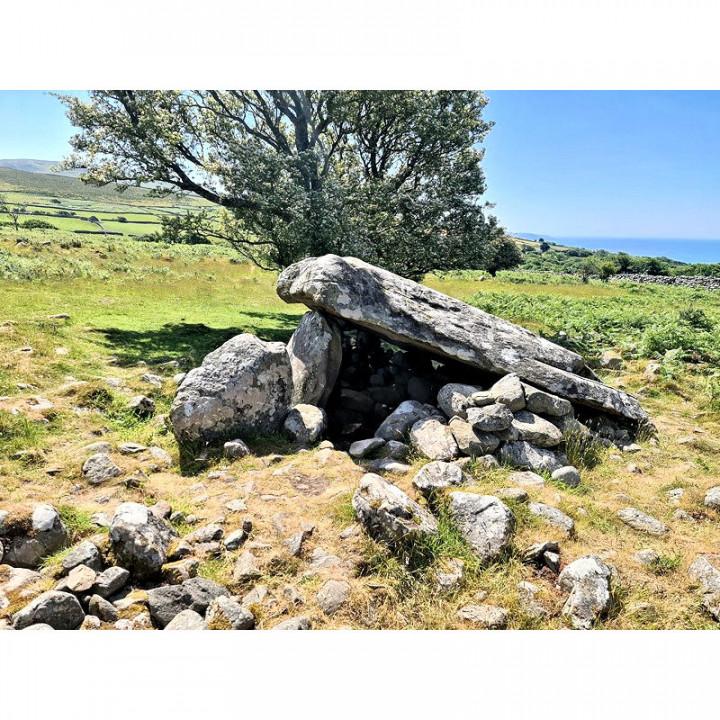 Cors y Gedol neolithic burial chamber 3d model