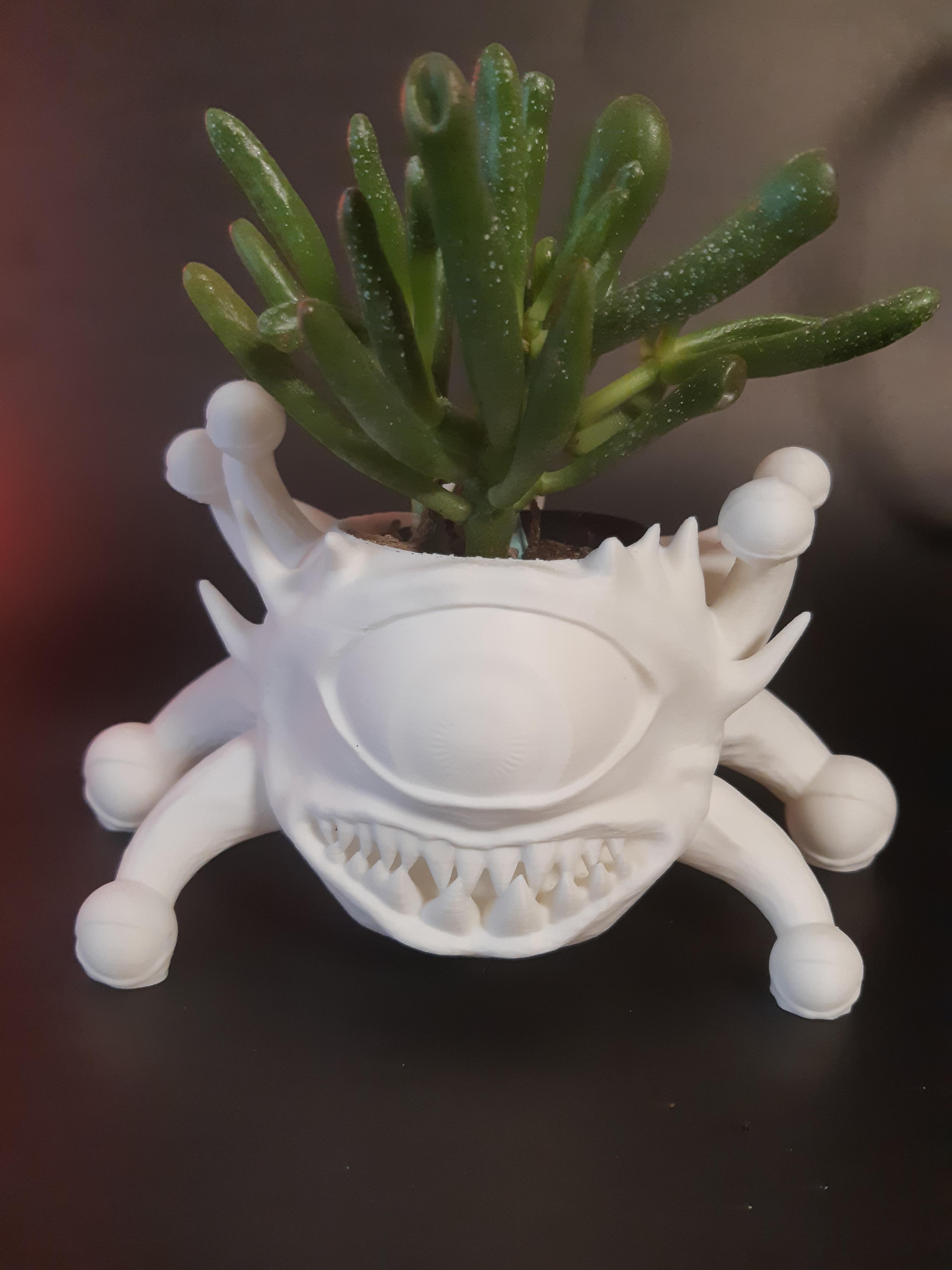 Beholder Planter for Succulents - Support Free 3d model