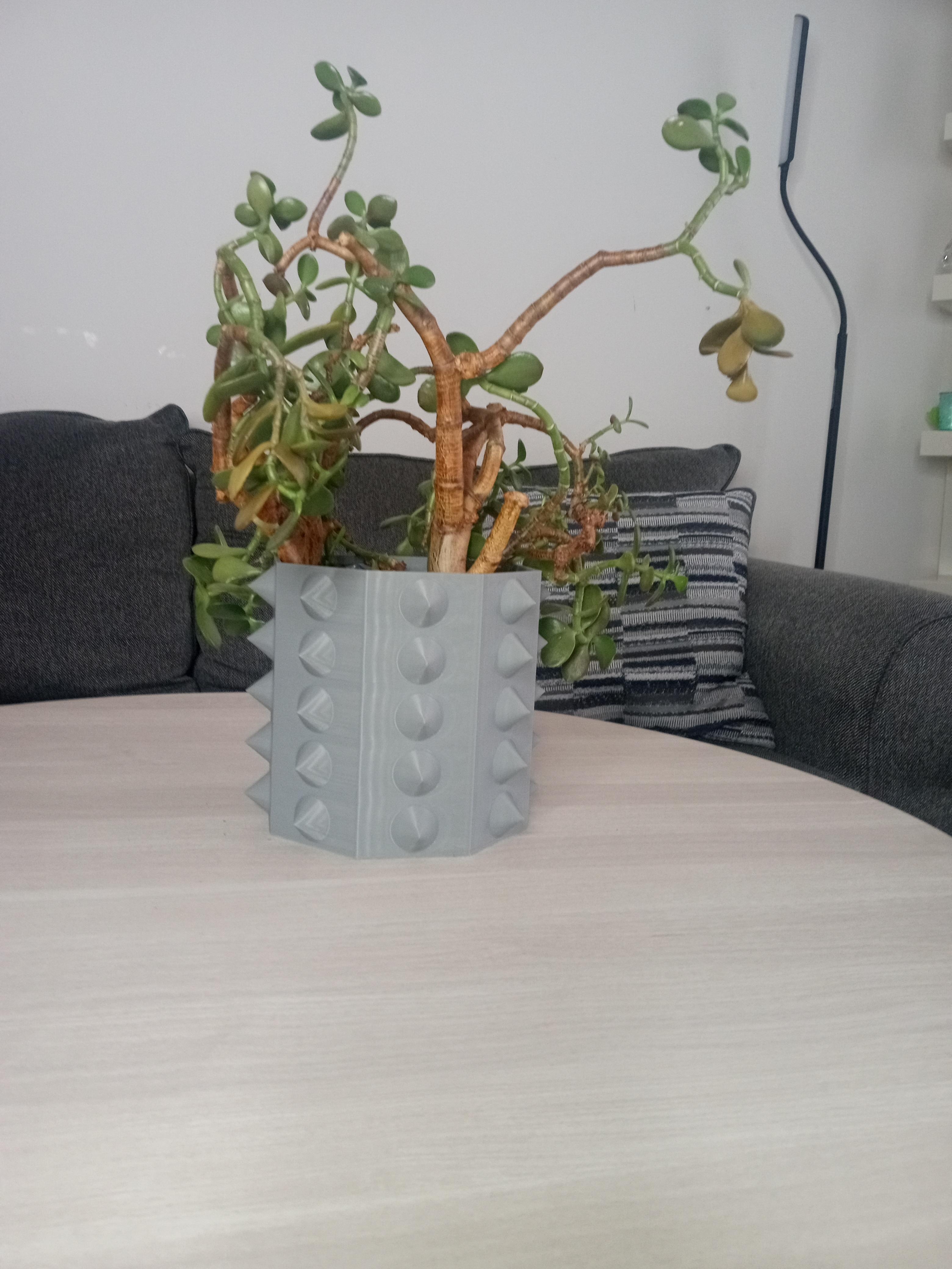 Spiky Planter 3d model