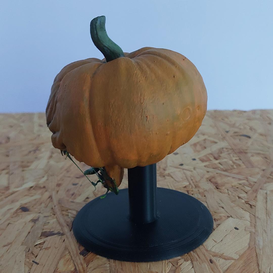 Cursed Pumpkin 3d model