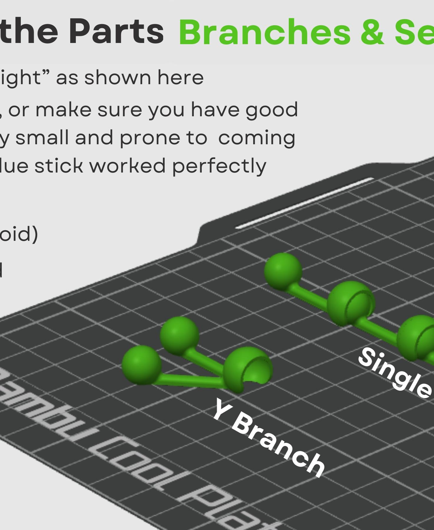 String of Pearls Articulating Plant 3d model