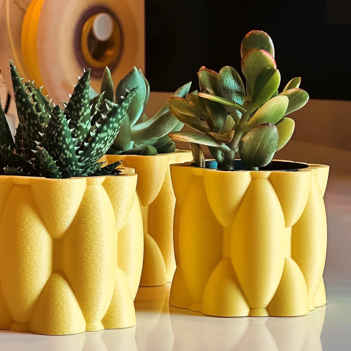 pneumaFORM Mini Planter.3mf 3d model