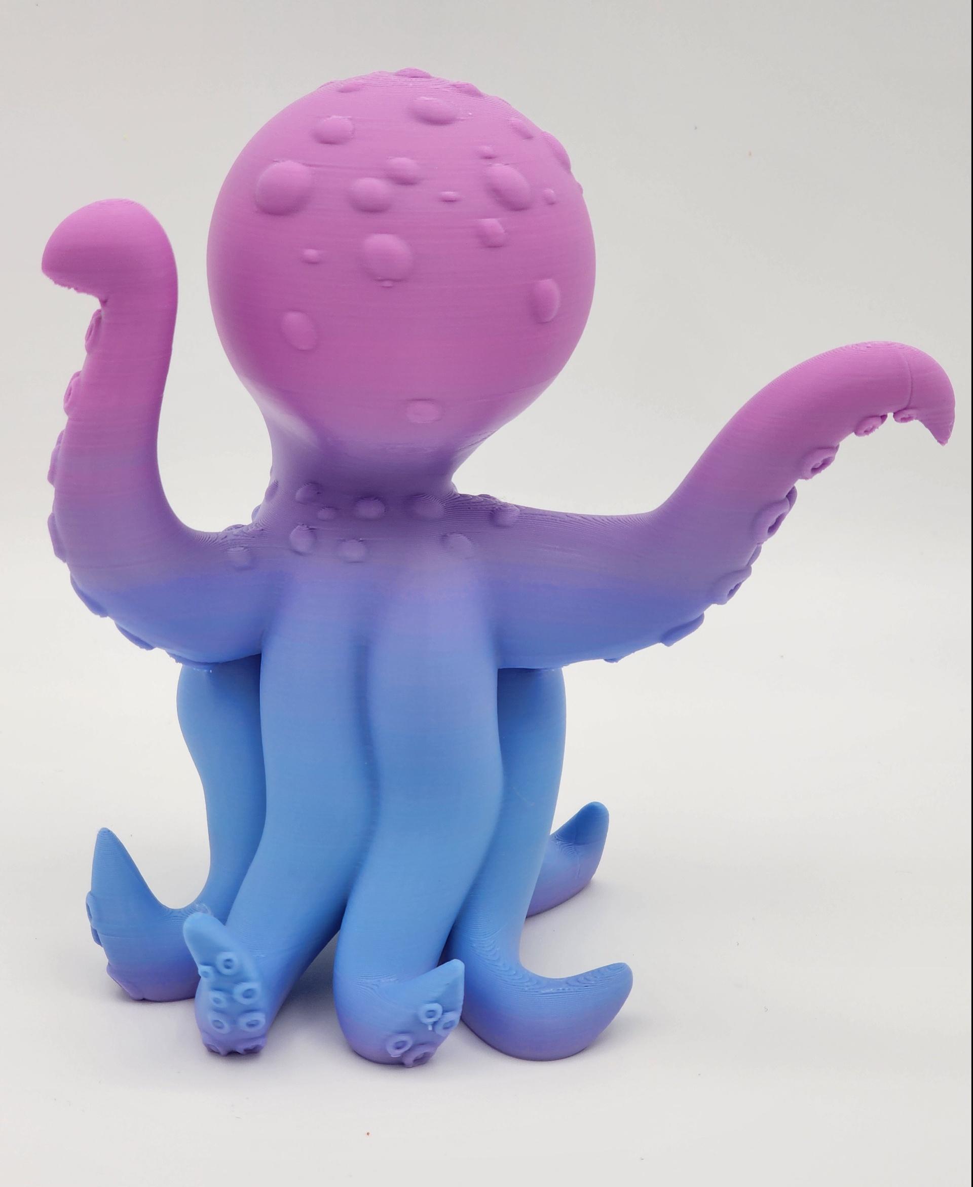 Happy Octopus 3d model