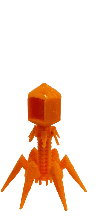 Bacteriofago.stl 3d model