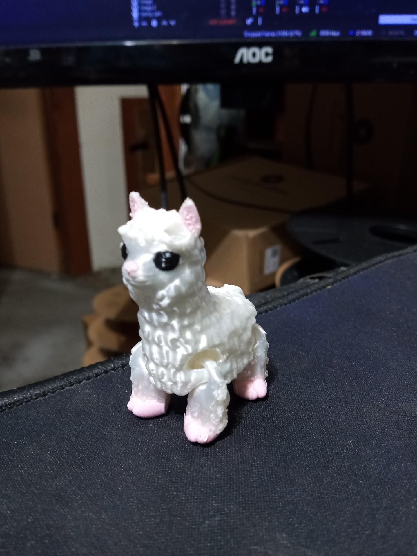 Alpaca Fidget 3d model