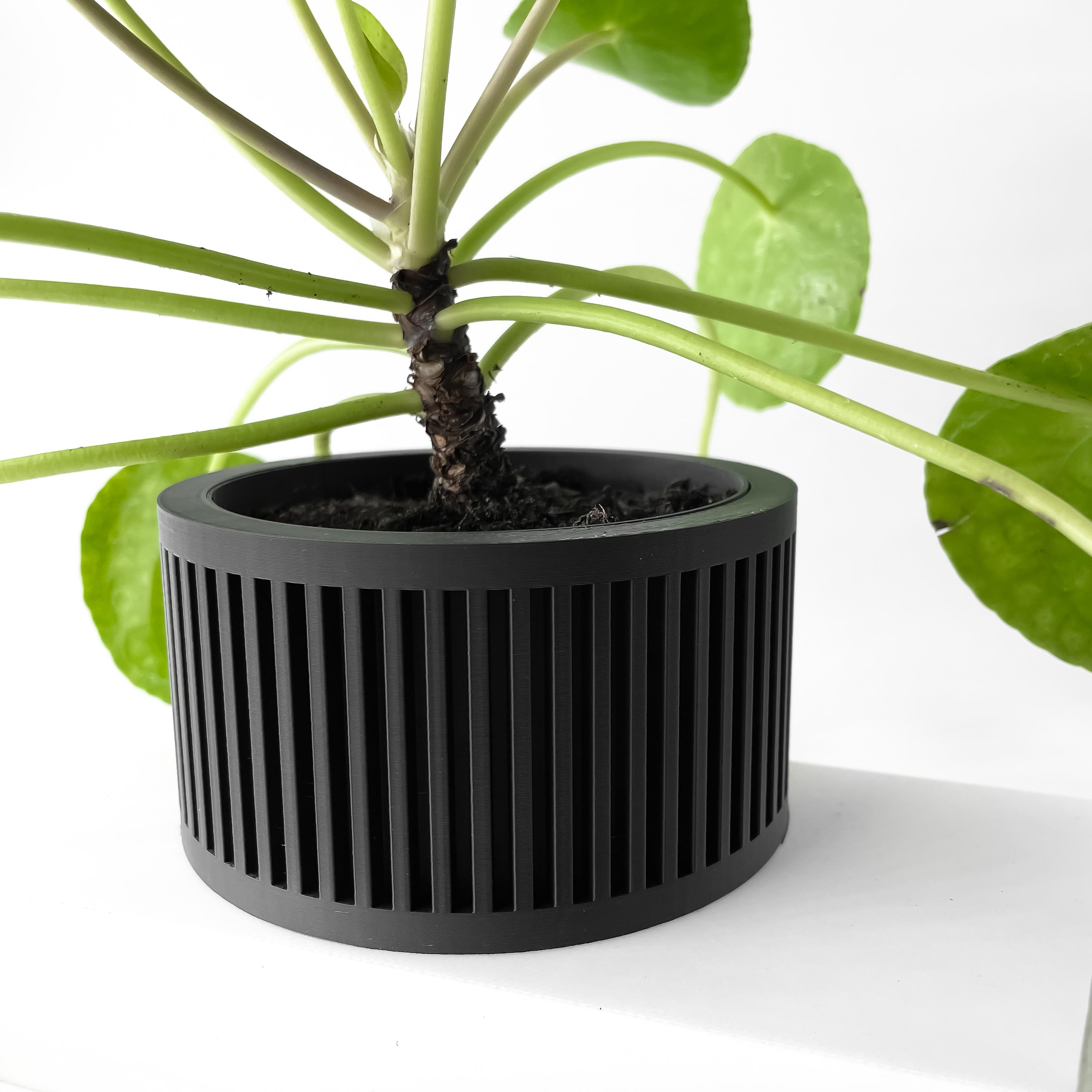 The Paxon Planter Pot with Drainage Tray & Stand Included | Modern and Unique Home Decor 3d model