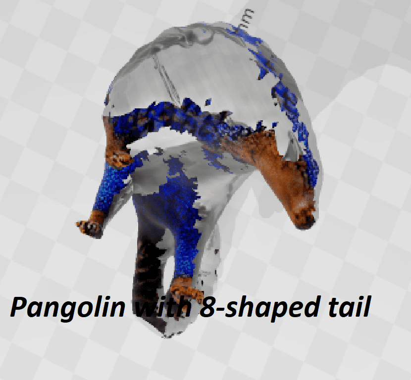 eight-shaped tailed two headed pangolin and Re-edit 3d model