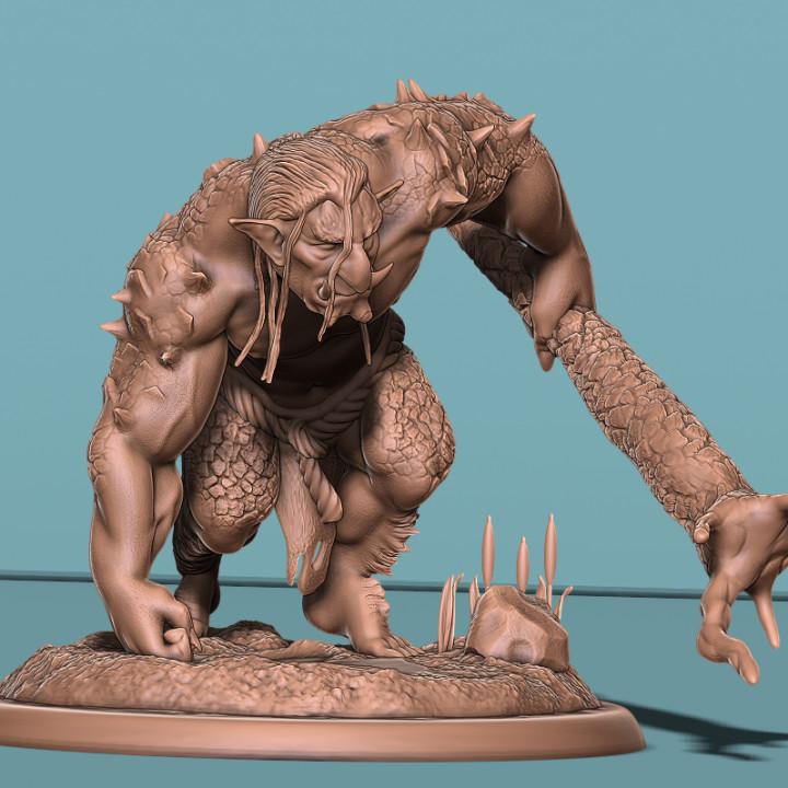 Troll Lerking 3d model