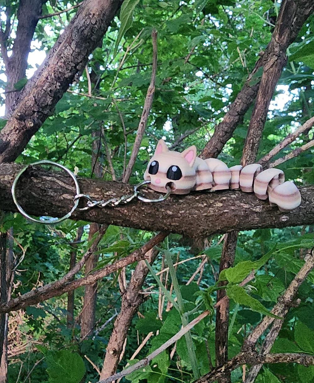 Squirrel Fidget Keychain 3d model