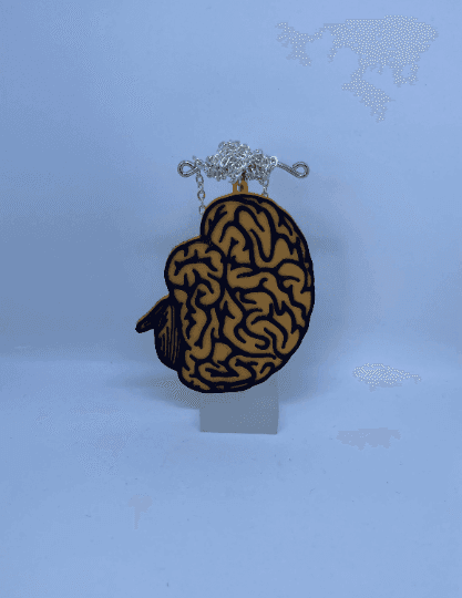 Brain 3d model