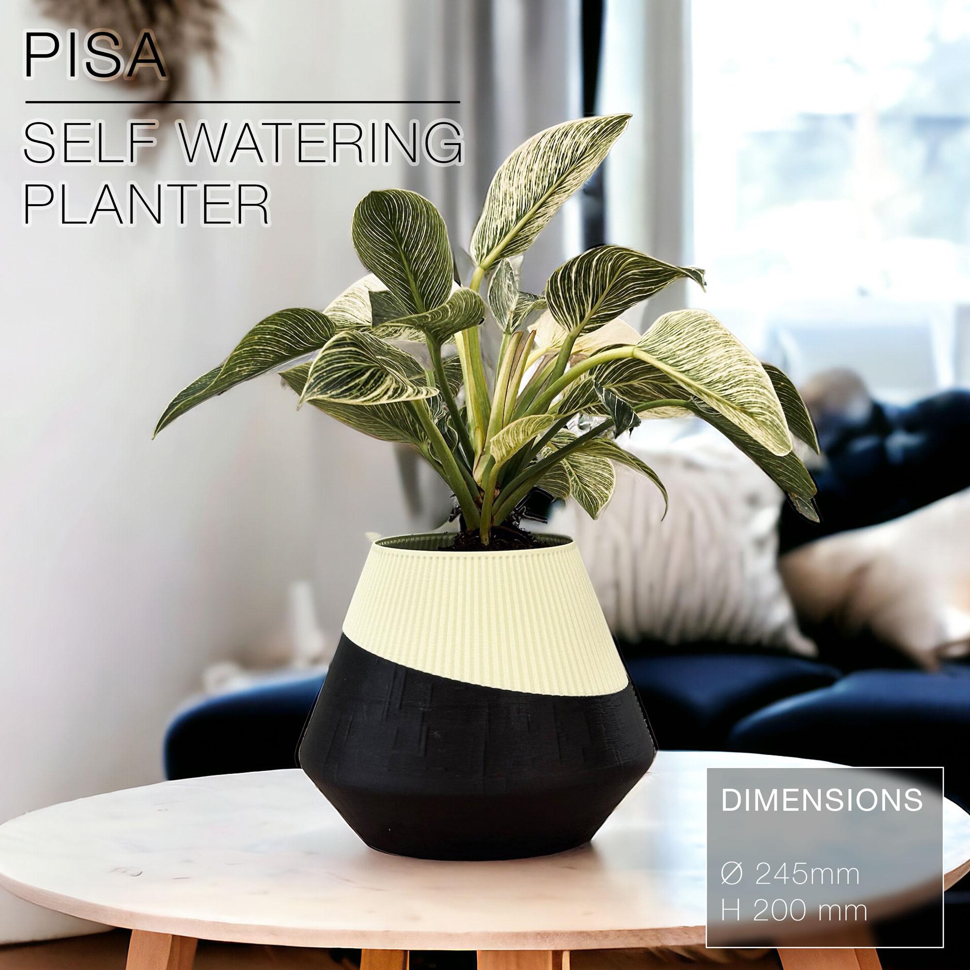 PISA  |  Self-Watering Planter 3d model