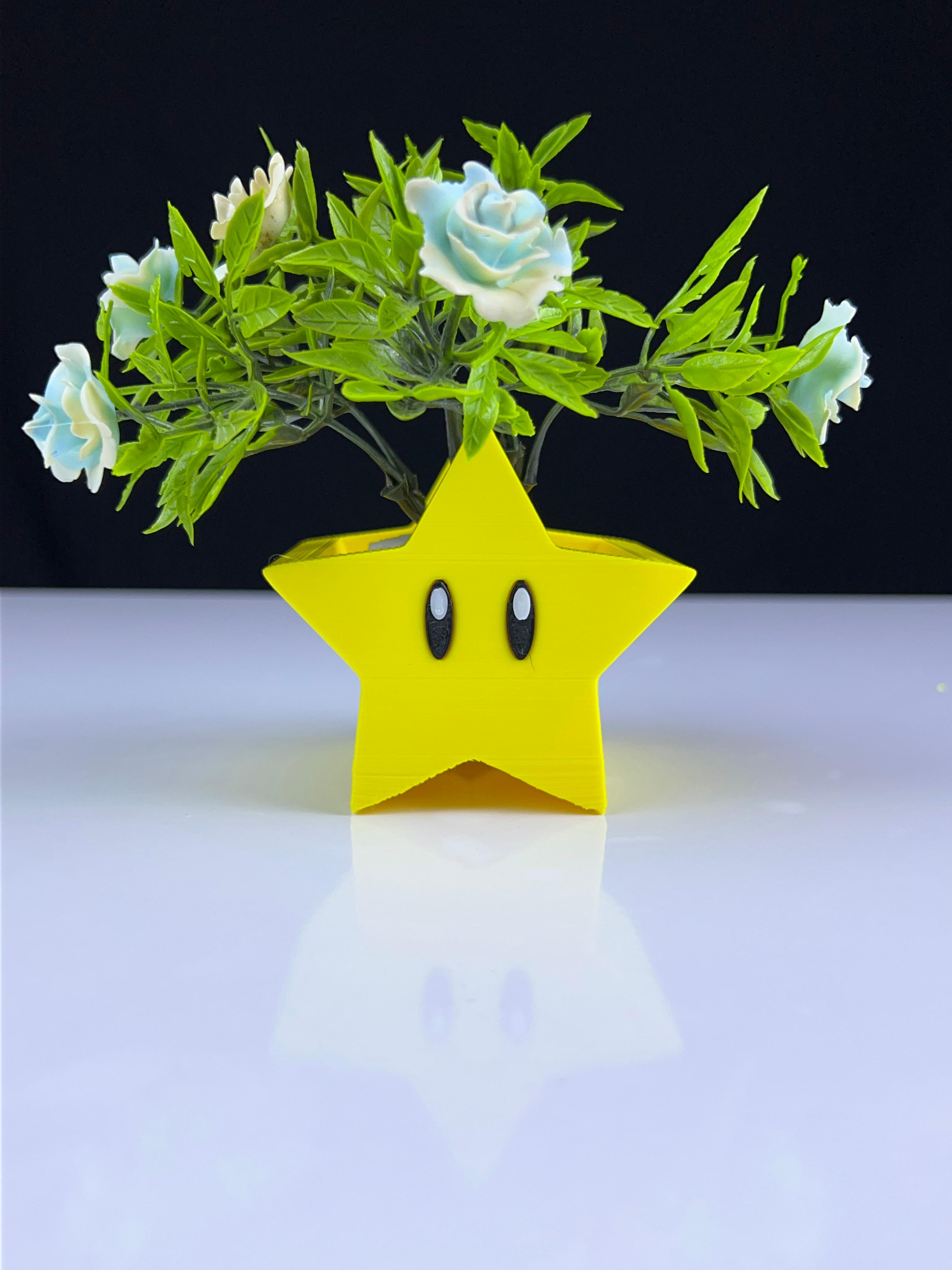 Super Star Planter 3d model