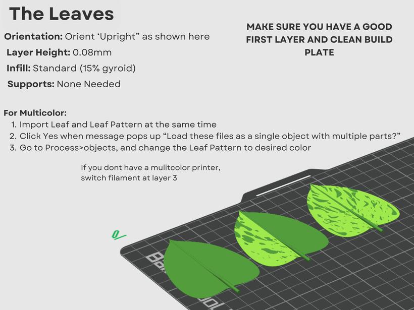 Pothos - Articulating Plant 3d model