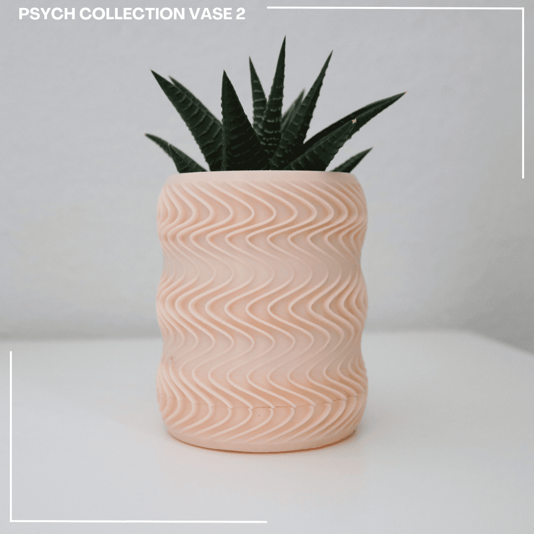 Psych Vase Collection  3d model