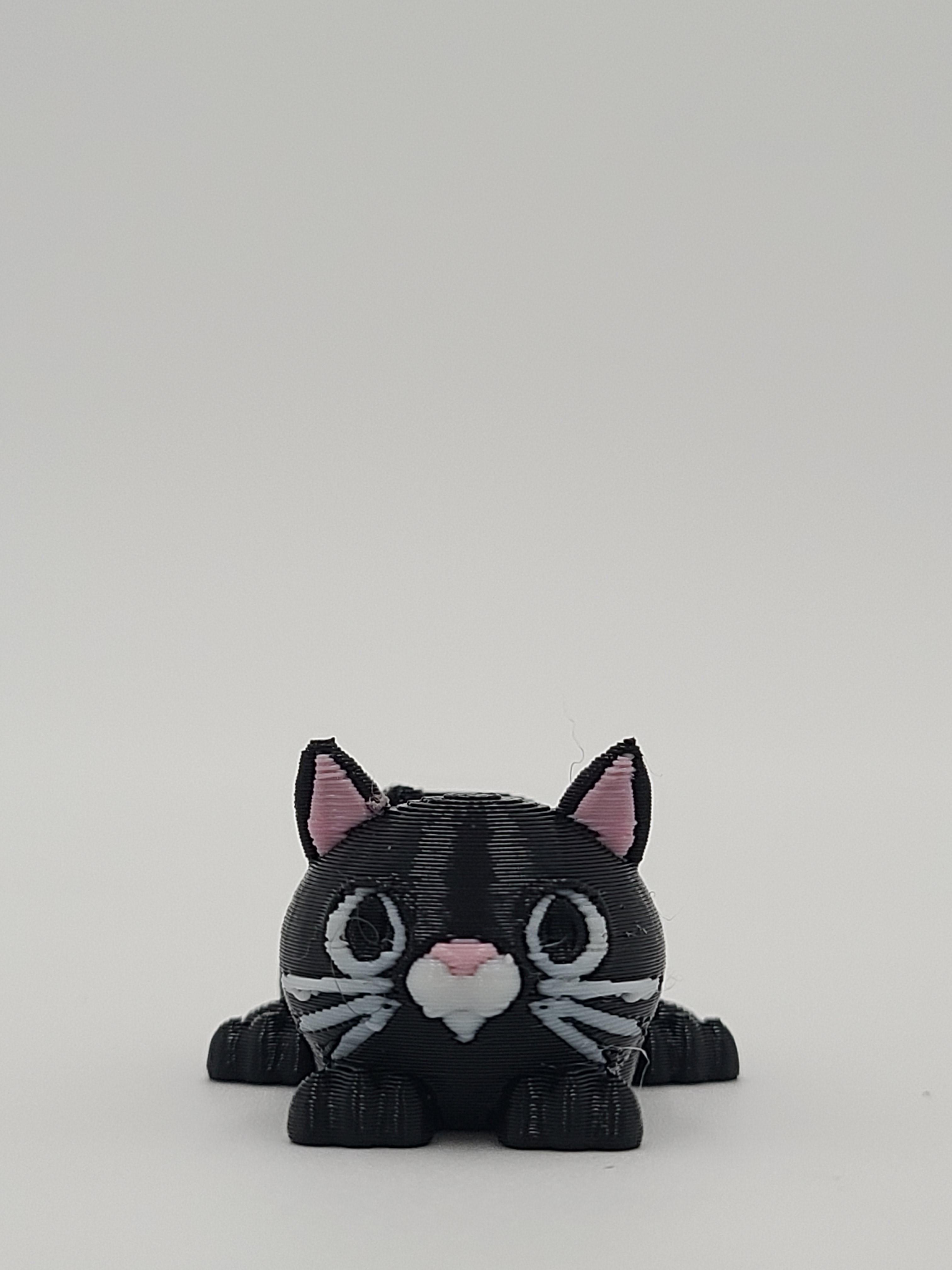 Snappy Cat - Articulated Snap-Flex Fidget (Tight Joints) 3d model